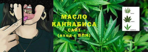 молекула духа Верхний Тагил
