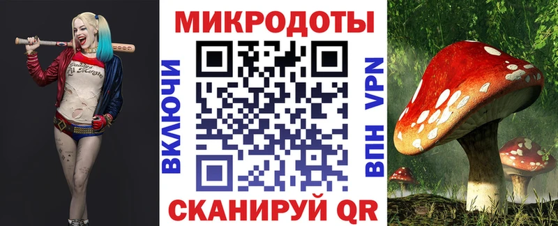 Псилоцибиновые грибы Psilocybe  дарнет шоп  Гвардейск 