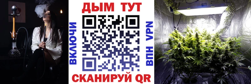 цены   Гвардейск  Шишки марихуана VHQ 
